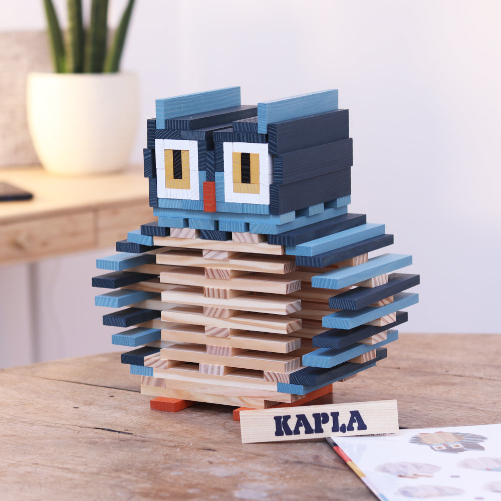 KAPLA Owl Case